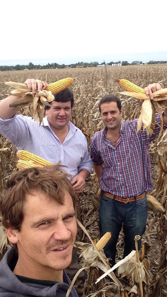 Seguimos trabajando para mejorar las prescripciones a la hora de recomendar un híbrido SURSEM. El responsable comercial junto a los distribuidores de la zona recorren ensayos de densidad en Pehuajo (Bs. As.) #VamosJuntos #campo #Maíz
