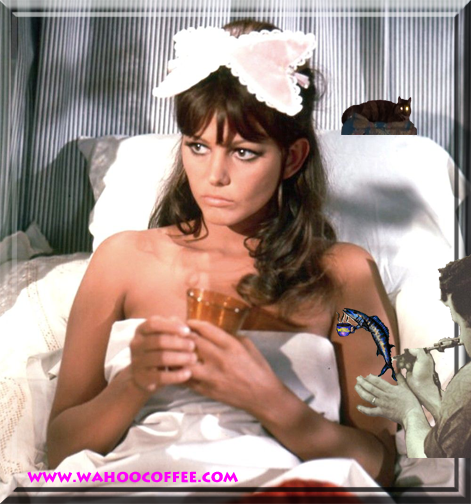 Wahoo Coffee tweet media