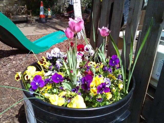 FitzMuseumEduca's tweet photo. Our colleagues @CUBGEducation shared our #nurseryinresidence project at #NatSCA2018 this week.
6 months after the visits,the project is still inspiring the children: the bulbs are in bloom & asking to be painted! #KidsMW #MuseumWeek18 https://t.co/PsHQjsL5R6