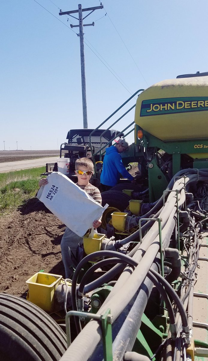 sf28430's tweet photo. Putting in a plot for @HeftyBrandSeed 
We haven't achieved the AgPhD level yet... still working on our #AgGED https://t.co/1kKTfnRSFO