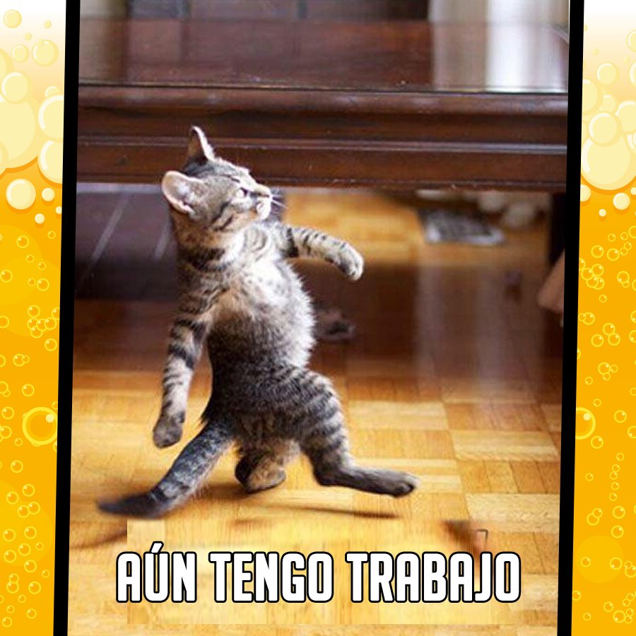 istmobrewpub's tweet photo. No importa lo que tengas que hacer...déjalo y ven a por unas birras con tus panas 🍺
#Istmobrewpub #Istmo #Pub #TGIF #FridayMood #Birreros #Birras #Panas https://t.co/uXX3bawHSv