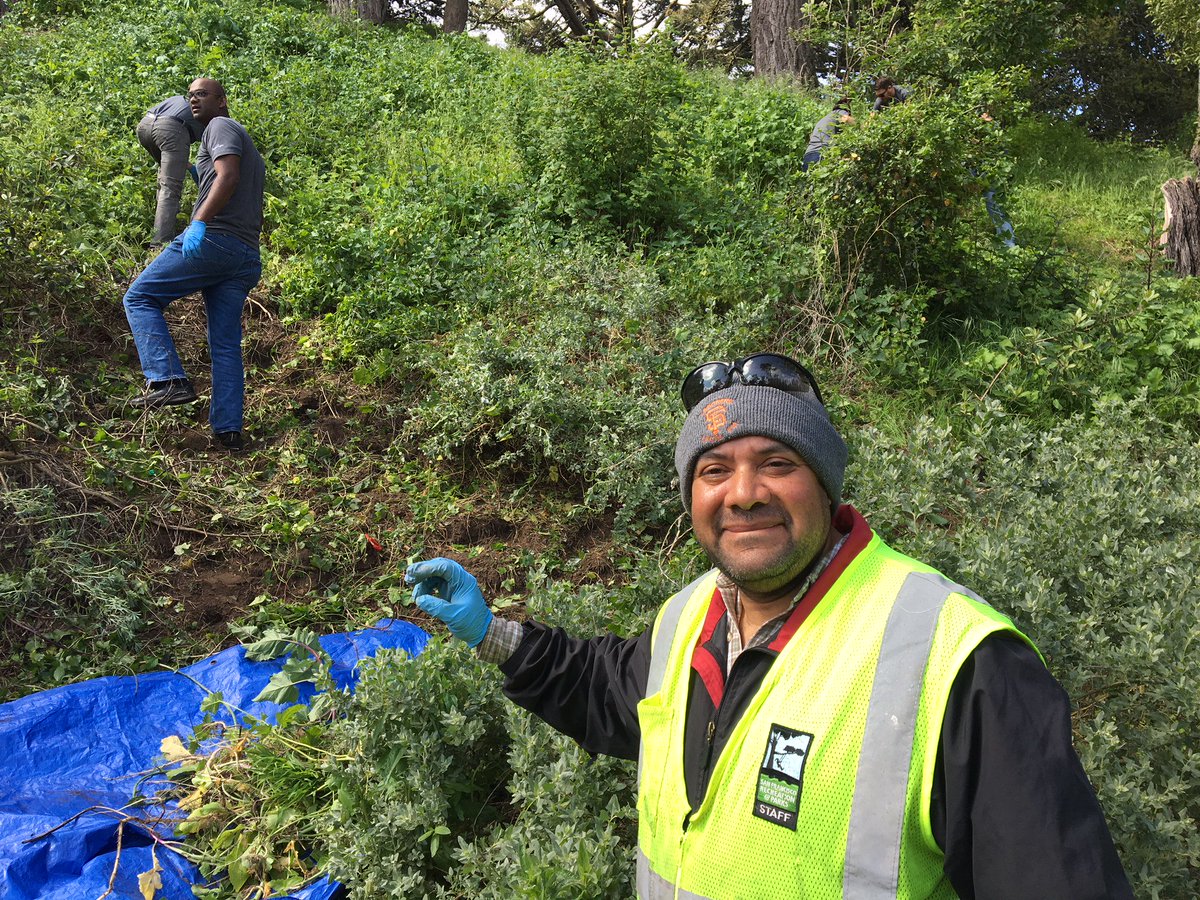 DocuSignIMPACT's tweet photo. The @DocuSign #SF team is out pulling weeds in @GoldenGatePark today! Here's how you can make a difference in our community: https://t.co/HslLcFp8NT #DocuSignIMPACT #SpringIMPACTDay #FridayFeel https://t.co/VXRTINLhKi