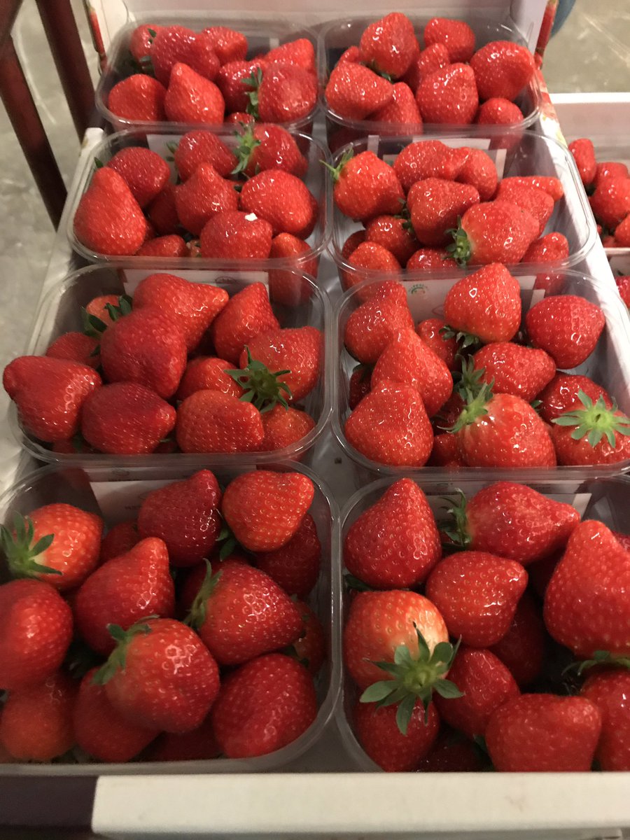 TatwsTrading's tweet photo. It's a great feeling you can trust salesman word &amp; choice of produce he recommends to send me thank you @PhilipBruce20 great straws this morning again mate @TotalLpool 👌👌👌👌👌 https://t.co/W6ZLRzF0Nf