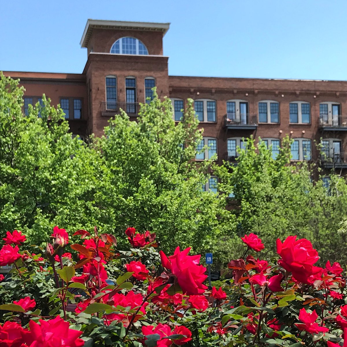 DTWoodstock's tweet photo. Visit #DowntownWoodstock and be amazed by the great stores, amazing restaurants and beautiful sights you will discover! #acityunexpected #exploregeorgia https://t.co/mIfKjoz7XN