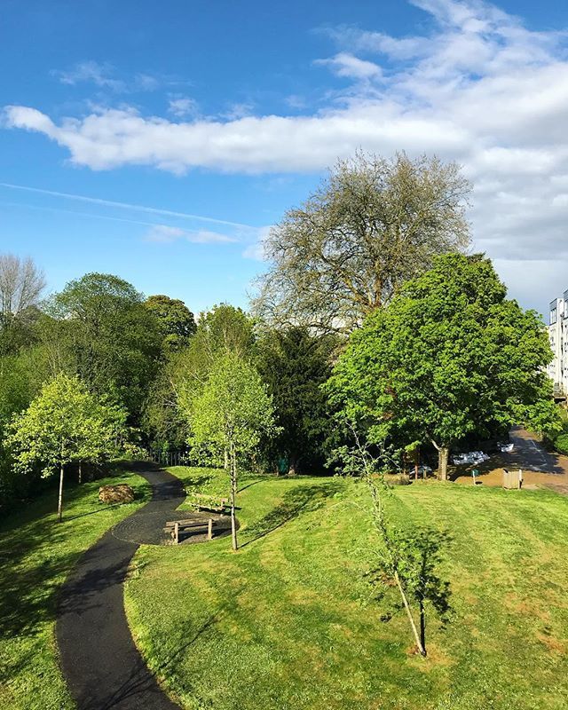 Park life ☀️🌳
.
.
#parklife #park #kent #england #uk #gb #dayout #nature #treesofinstagram #photography #naturephotography #pretty #country #countryside #travel #travelgram #travelblogger #travelphotography #followme #followmeto #blog #blogger #count… ift.tt/2HvX24Y