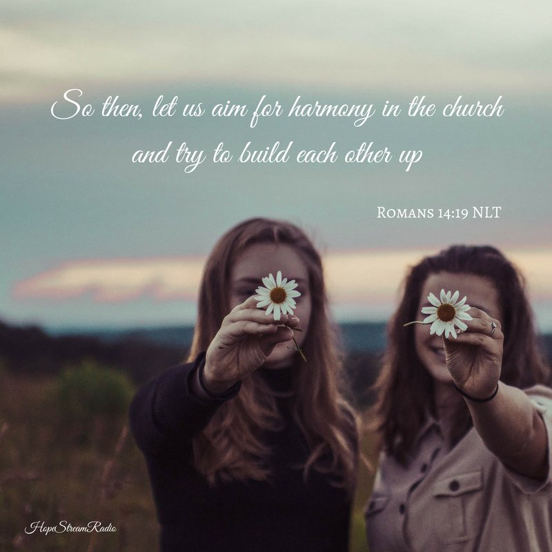 FBHInter's tweet image. Do you seek harmony? #BibleVerse #VOTD #Peace #HopeStreamRadio