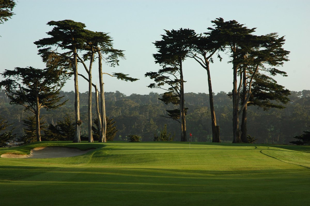 Chieftainboss's tweet image. I don't often play away from home, but when I do I choose wisely. Can't wait to tee it up later today at #HardingPark. #GolfStrong