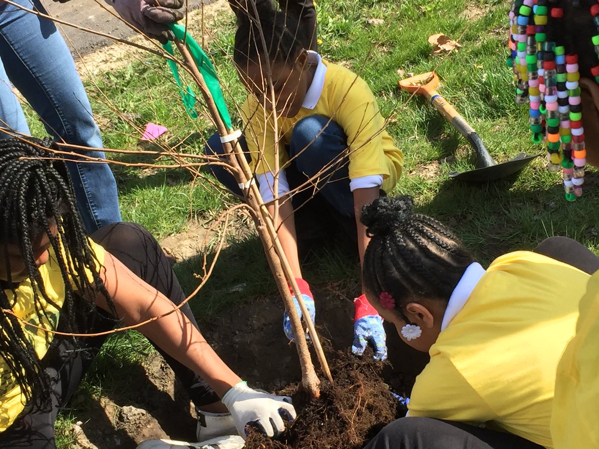 neorsd's tweet photo. #CLEtrees: No better way to spend the day than planting something for the future in Glenville. #ArborDayCLE @CLEMetroSchools @WRLConservancy #FDRAcademy https://t.co/TrJfgBPVjt