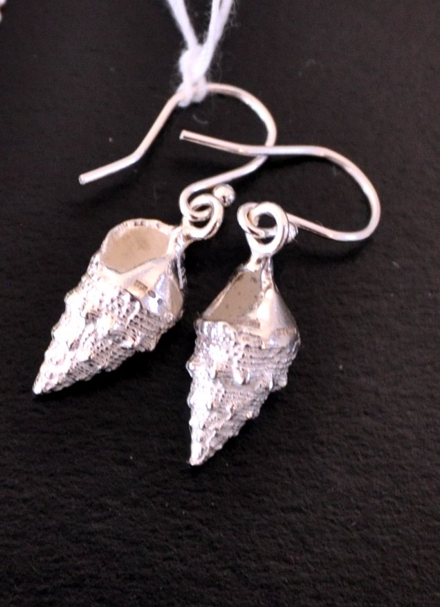 Eagle_Gallery's tweet photo. Lesley Pollock's beuatiful silver jewellry showing @Eagle_Gallery now until May 10th - there's lots more beside !
#silverjewelry #silverfish #silvershells @OptimisInfo @castlequarter1 @WeAreBeds https://t.co/kPH8s2VEE5