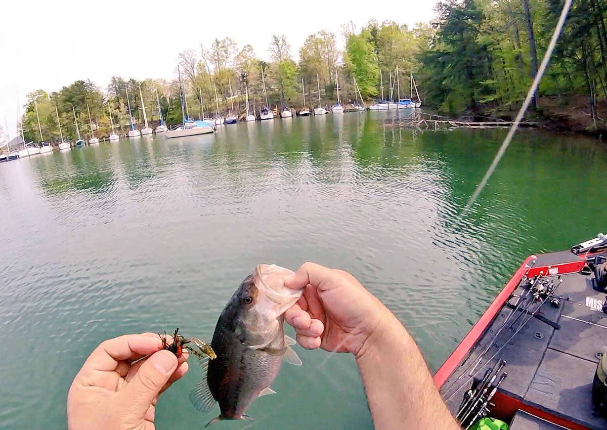 MISSILE_BAITS's tweet photo. Drop Craw works well as a trailer for a smaller jig. #missilebaits #dropcraw #finesse #bigfish #smallfish https://t.co/zZa72q8kRZ