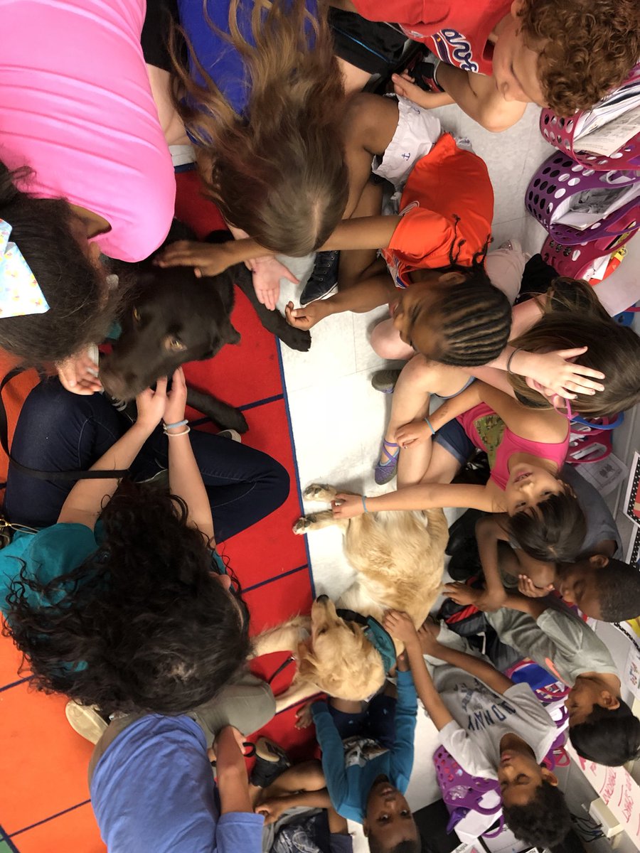 Brittany Colagerakis tweet media