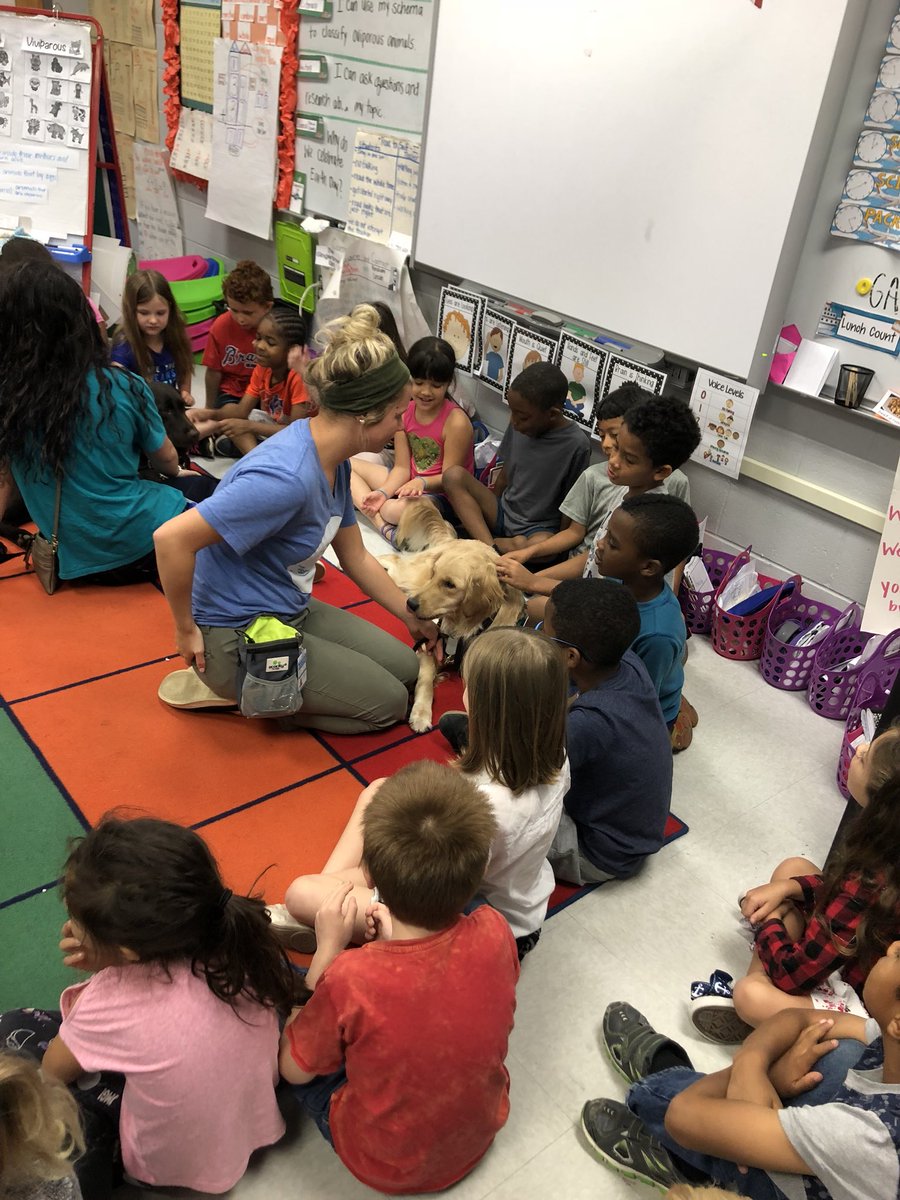 Brittany Colagerakis tweet media