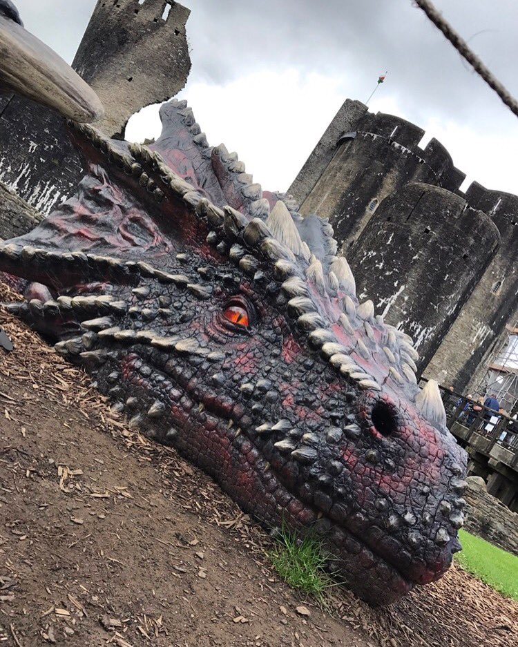 Meeting dragons at @Caerphilly_Cadw 🐲

#Caerphilly @visitwales #visitsouthwales #dragons