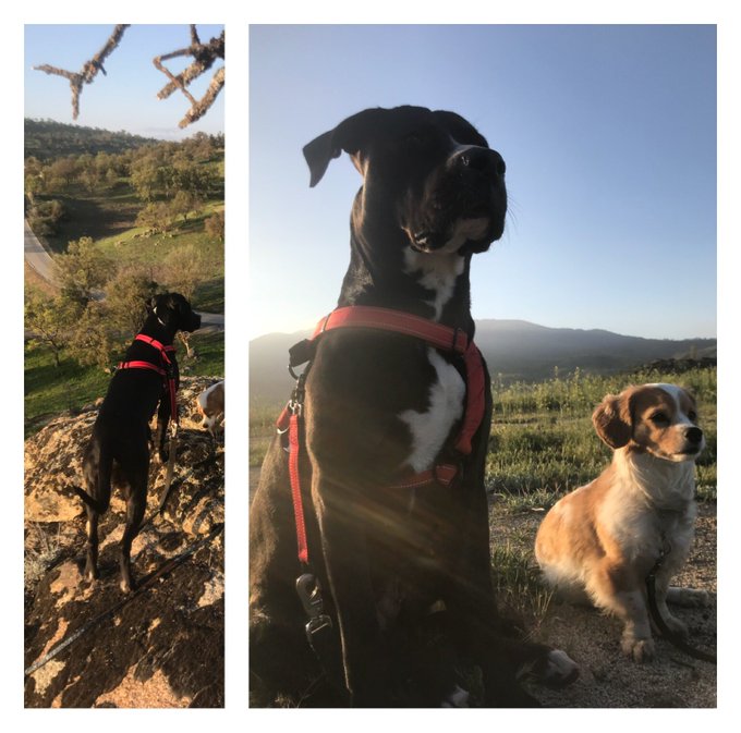 Watch Roxy Raye's leaked NSFW photo on TwXstars