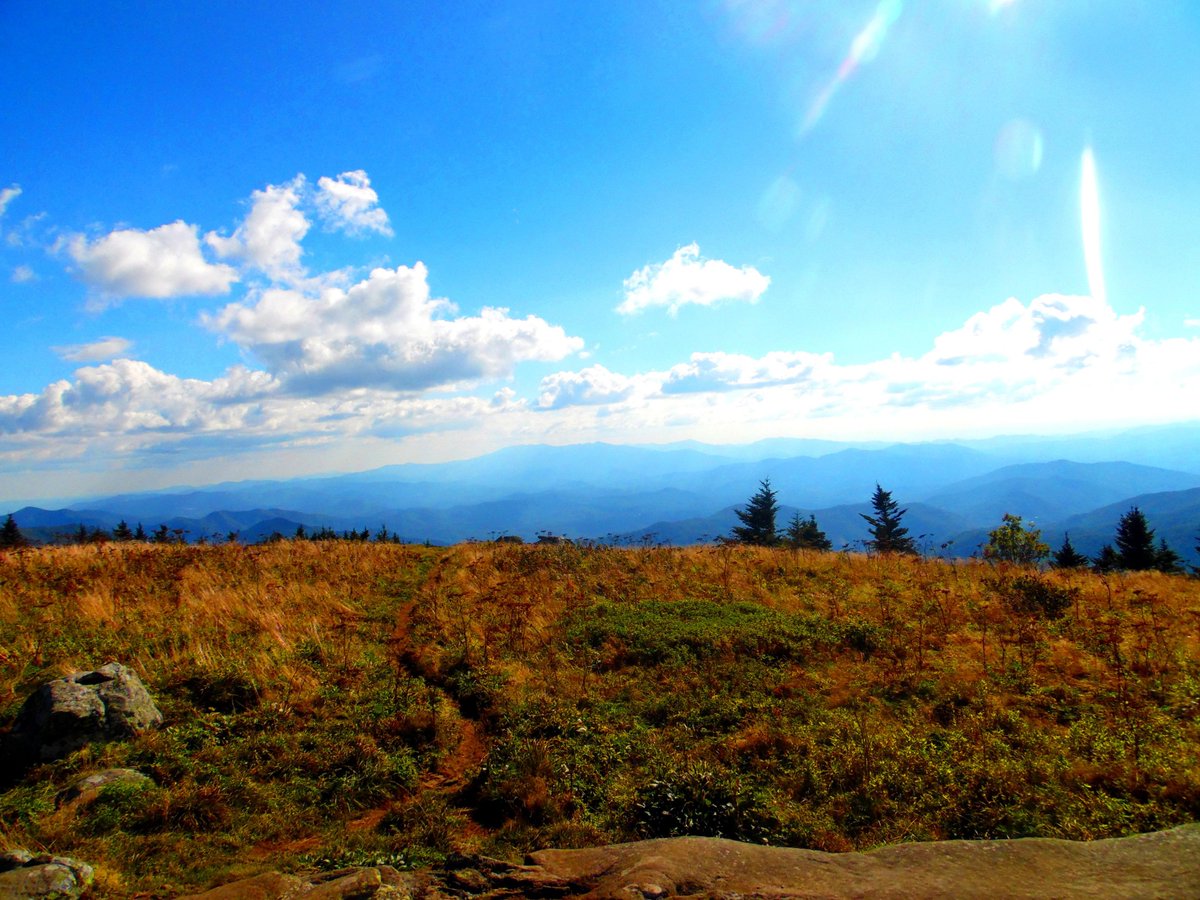 IvannaCaveAlot's tweet photo. In #RoanMountainStatePark, the #AppalachianTrail follows the NC/TN state line across the largest stretch of grassy bald in the #AppalachianMountains; Beautiful views abound in every direction! #CherokeeNationalForest #PisgahNationalForest #MitchellCountyNC #CarterCountyTN #hiking https://t.co/sQJTYVptzk