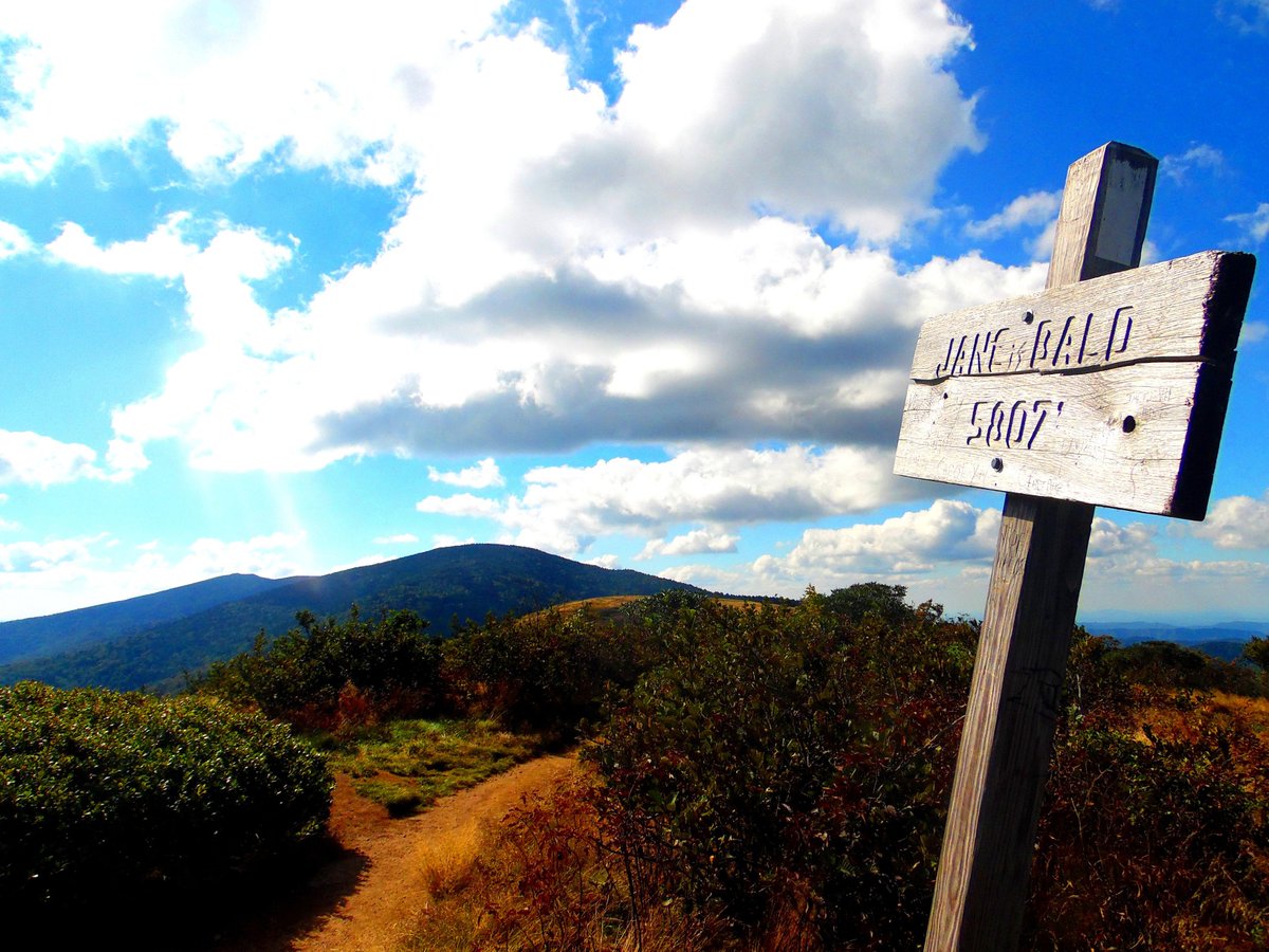 IvannaCaveAlot's tweet photo. In #RoanMountainStatePark, the #AppalachianTrail follows the NC/TN state line across the largest stretch of grassy bald in the #AppalachianMountains; Beautiful views abound in every direction! #CherokeeNationalForest #PisgahNationalForest #MitchellCountyNC #CarterCountyTN #hiking https://t.co/sQJTYVptzk
