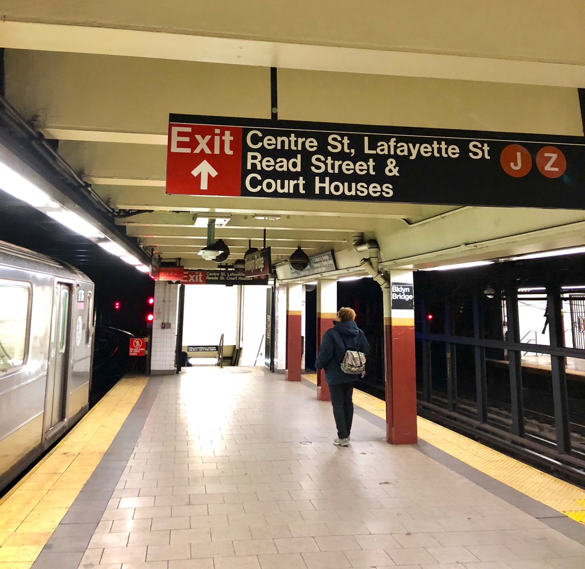 lauren drell tweet media