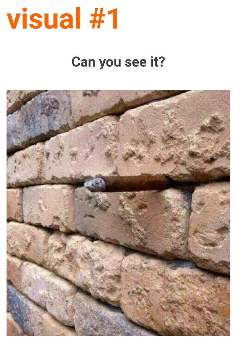 Talking math out loud every day!  Great learning today from <a href="/saravdwerf/">Sara VanDerWerf</a> 😀 <a href="/jenderoso/">Jen Fessenden</a> <a href="/FCEFoundation/">Falls Church Education Foundation</a> #NCTM2018 #NCTMannual