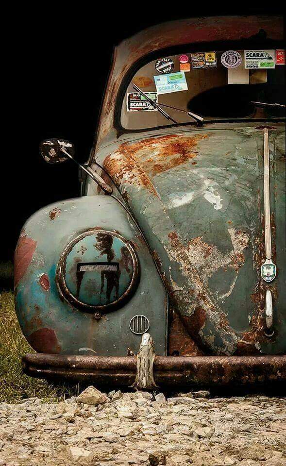 Wriel7's tweet image. Sempre rat