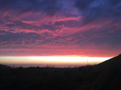 hctf's tweet image. New on HCTF: Bryan Beller: &quot;Scenes From The Flood&quot; Video Trailer dlvr.it/QR0VSL