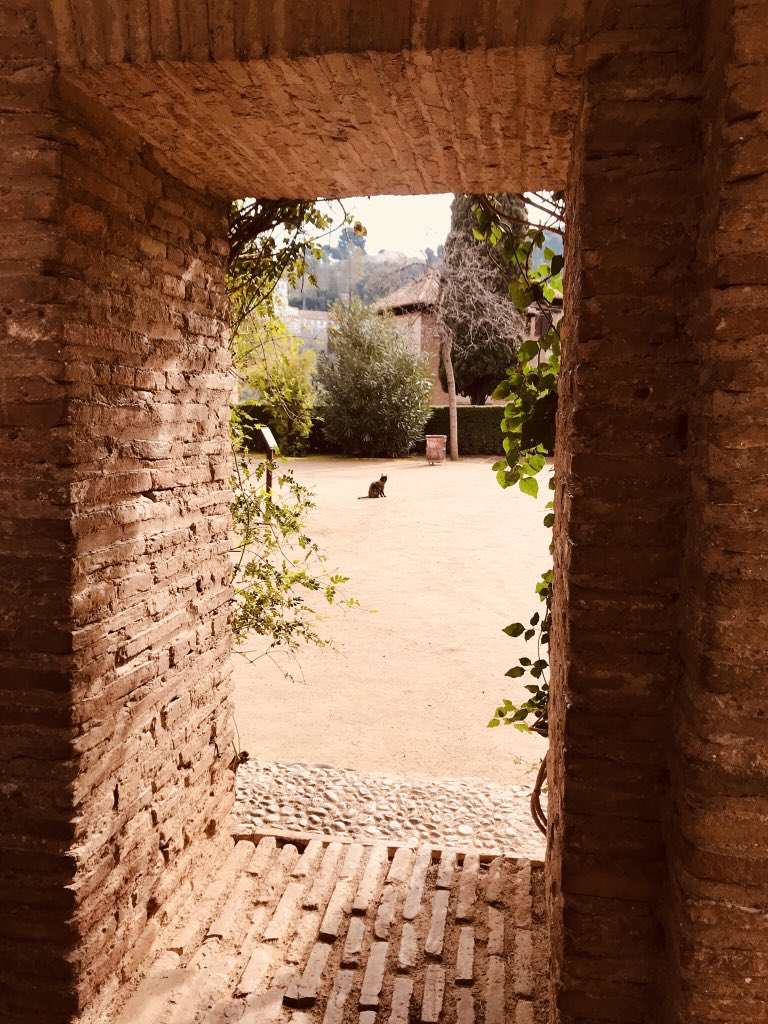 ay_yunis's tweet photo. And that little black royal cat basking in the sun ...:) #Alhambra #Garanada @CerisesMacaron @rabihalameddine @utktun @joselechiguero https://t.co/DCIPSQIvky