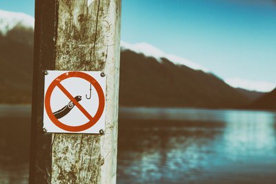 thefishingstone's tweet photo. Does this mean... NO FISHING - or - NO EEL CATCHING --- What do you think?
 #carpfishing #icefishing #fishingislife #fishingboat #fishingday #offfishing #fishingstone #fishing more @ https://t.co/N2M7s2vziQ https://t.co/CxGAdMjabk