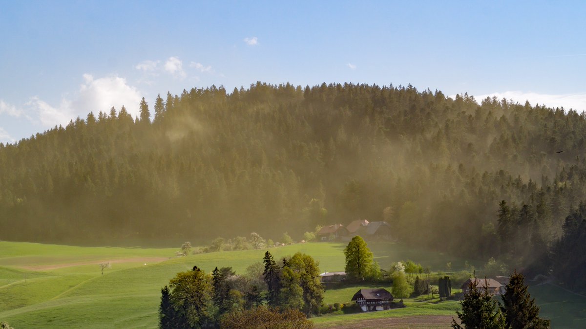 Arme Pollen-Allergiker😟
@srfmeteo #srfaugenzeugen