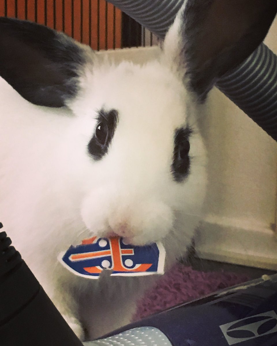anniannitanni's tweet photo. Täten ennustan, että ensi kaudella Tappara ei ole mitalipeleissä! #kannanotto #liiga #tappara #engångalltid https://t.co/IDduaF3Nfu