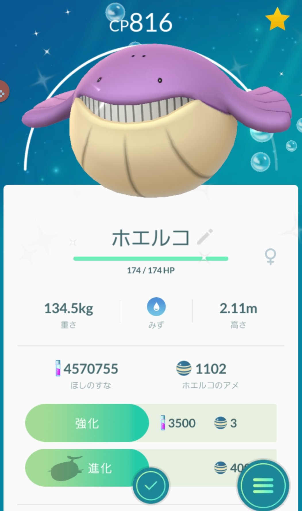 ホエルオー色違い Twitter Search Twitter