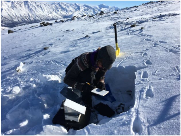ORNLDAAC's tweet photo. #NewDAACData: ABoVE: Dall Sheep Track Sinking Depths, Snow Depth, Hardness, and Density, 2017 @NASA_ABoVE
https://t.co/Xom8ZaInHv https://t.co/bdaj1ey1nJ