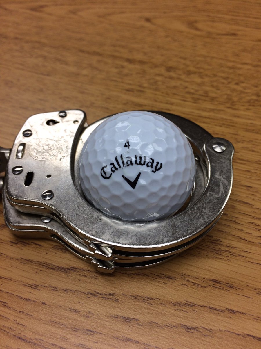 Dear golfer: we know your Tuesday game was probably not up to your usual standard since I have possession of your ball, but we feel you deserve an eagle on that hole for your timing and precision in hitting our patrol car right as we drove by. P.S. our window was not damaged