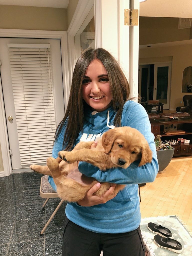 RebeccaSugars's tweet image. The only type of children I ever wanna have😭😍😫🐶 #puppymom #inlove