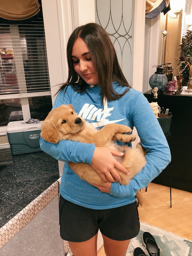 RebeccaSugars's tweet image. The only type of children I ever wanna have😭😍😫🐶 #puppymom #inlove