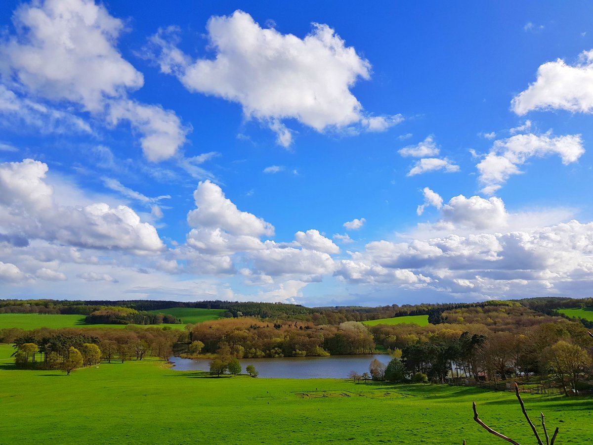 To relieve the incessant grey of today here's a blue sky moment from earlier this week 💙🌤️ The delightful view from The Terrace of Harewood House Leeds 💚💙 #TheTerrace #HarewoodHouse #Harewood #Leeds #Yorkshire #capabilitybrown #view #nature #sky #clouds #bluesky #Lake