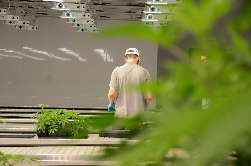 TerradiolNY's tweet photo. Would like to give a huge shout-out to all the hard workers here at Terradiol. You all are doing a fantastic job! https://t.co/3QLIHLdGs4
