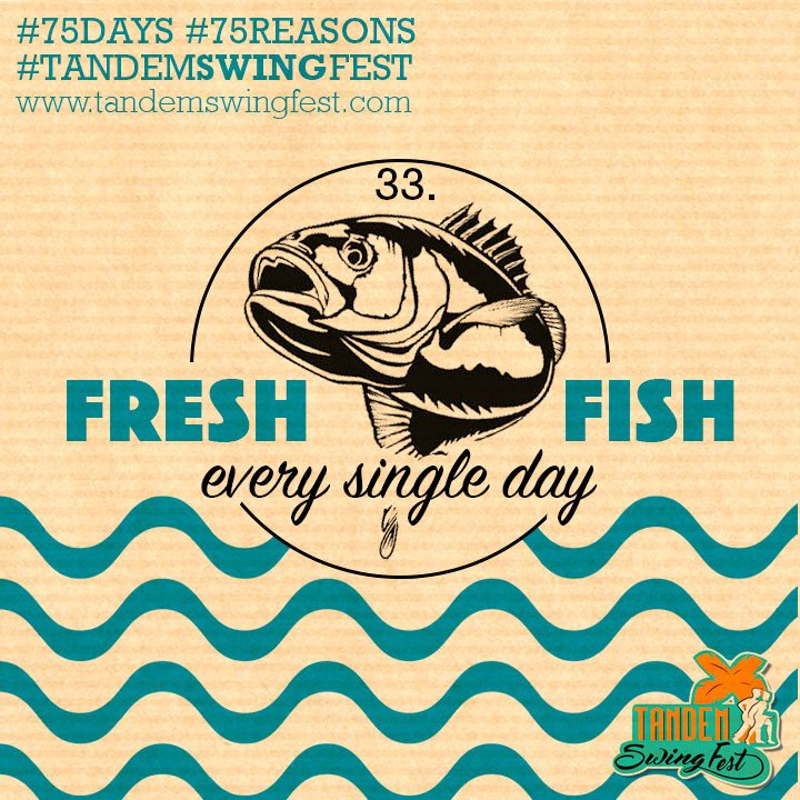 TandemSwingFest's tweet photo. #75days #75reasons #tandemswingfest #mallorca #swing #festival #freshfish
@TandemSwingFest  
https://t.co/myr9pxb4Fk https://t.co/Y0ha1i9HV7