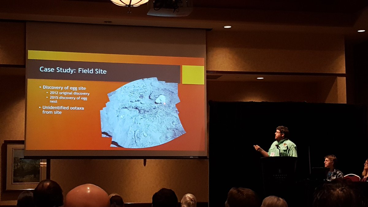 Patrick Wilson of @TwoMedicineDino has tested #polyethyleneglycol as a field consolidant for fossil #dinosaur eggs. PEG did not cause #bentonite to swell as much as  standard consolidants. #AMMP11 #fossilfriday @AMMPaleo