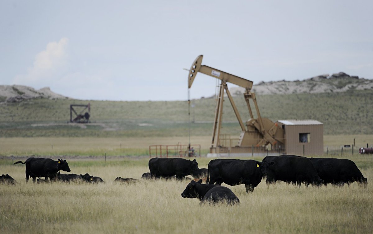 Environmentalists sue over Western Colorado oil-gas drilling. Via CBS Denver cra.in/MSSeenb