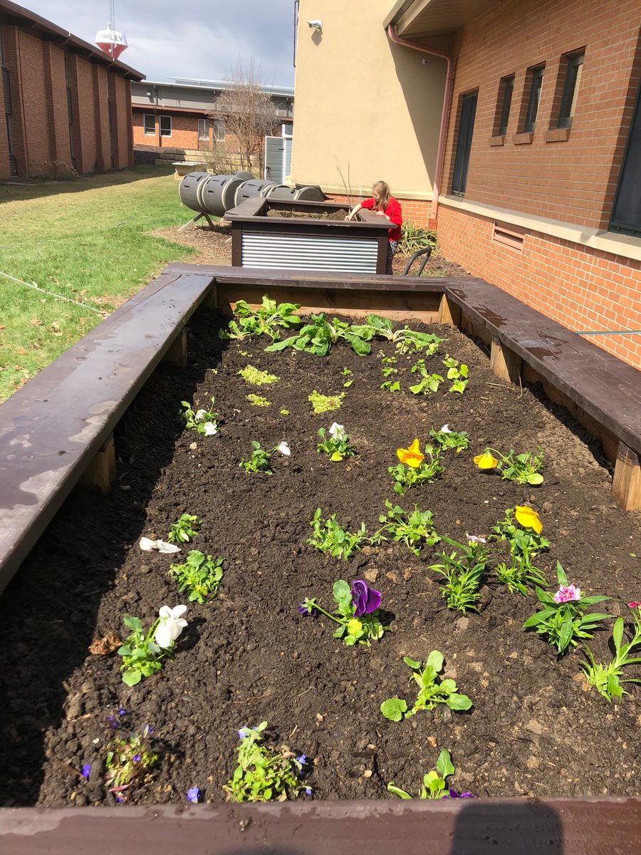 DMISTeacher's tweet photo. Farley Campus 3rd Graders and 6th Graders worked hard to plant our outdoor classroom to beautify and take ownership in our school community!  #WDBobcatservice https://t.co/qp0uz9SkV4
