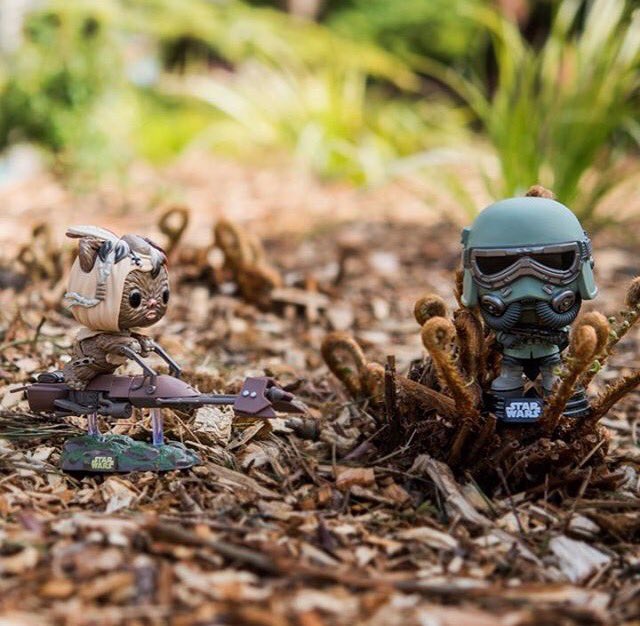 ewok on speeder funko pop