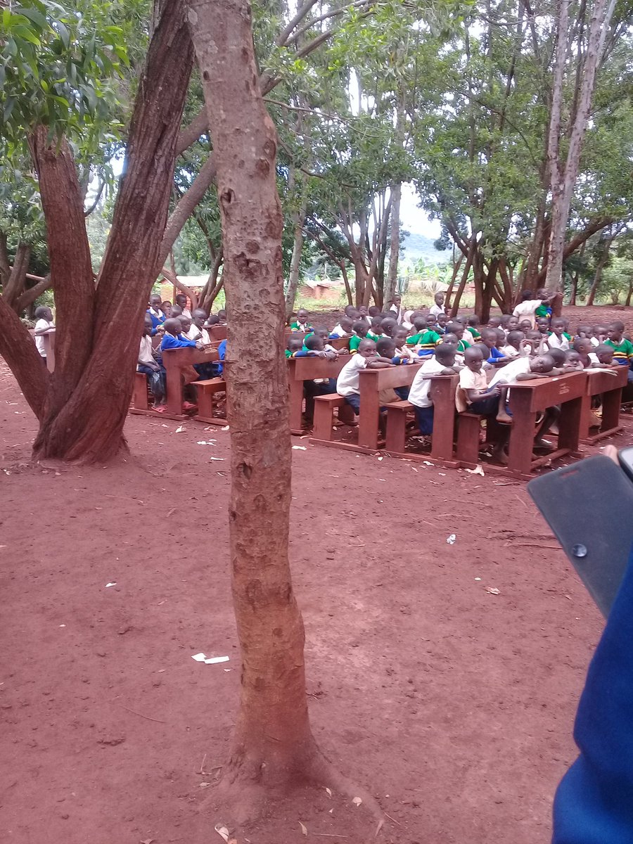 AngelisterK's tweet photo. Hi nishule ambayo kamawalivo hapa yaan wanasomea chini ya miti kwaajili ya uhaba wa madalasa ambayo hayajitoshelez wanateseka sana hilo liangaliwe hii ni shule ya msingi rusohoko wilaya kibondo mkoa kigoma https://t.co/GxljG6caK9
