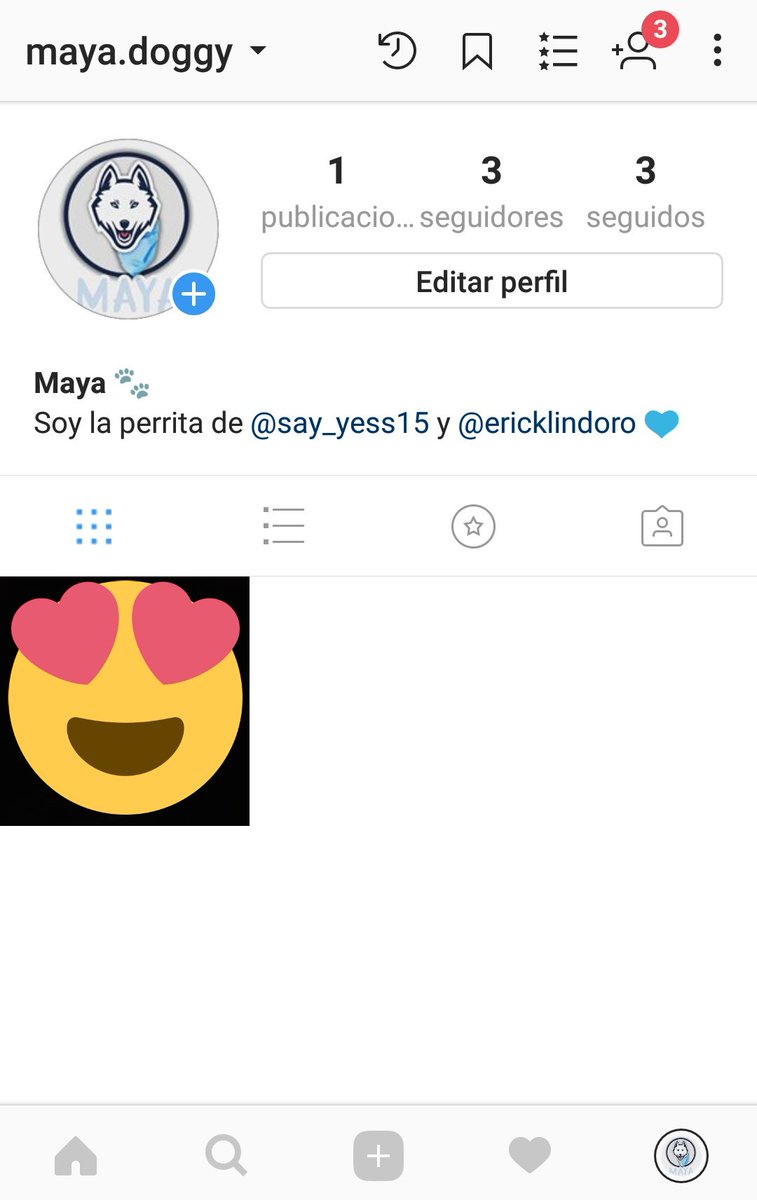 Yess_SKabeche's tweet photo. #Maya ya tiene cuenta de Insta bebos!!! 
Corran a darle amors!
Esta como Maya.doggy 🐩 https://t.co/GEHSy37Usx