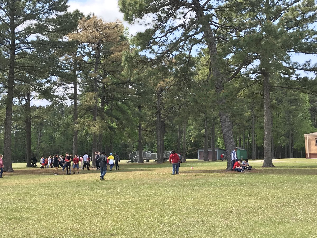 Mrs. Ardito tweet media