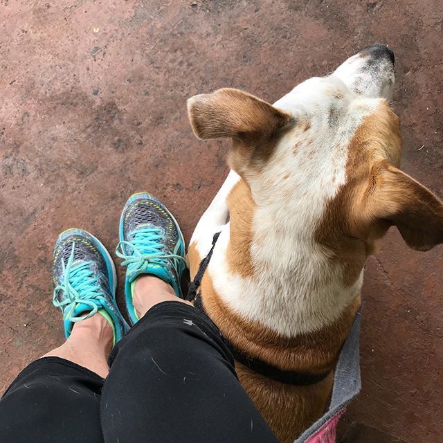 GiGi_FreemanRE's tweet photo. A girl and her dog!
Maddie Rose 🌹 and me! 💜 https://t.co/oG3FQ7tDdu https://t.co/OCujSWm29z