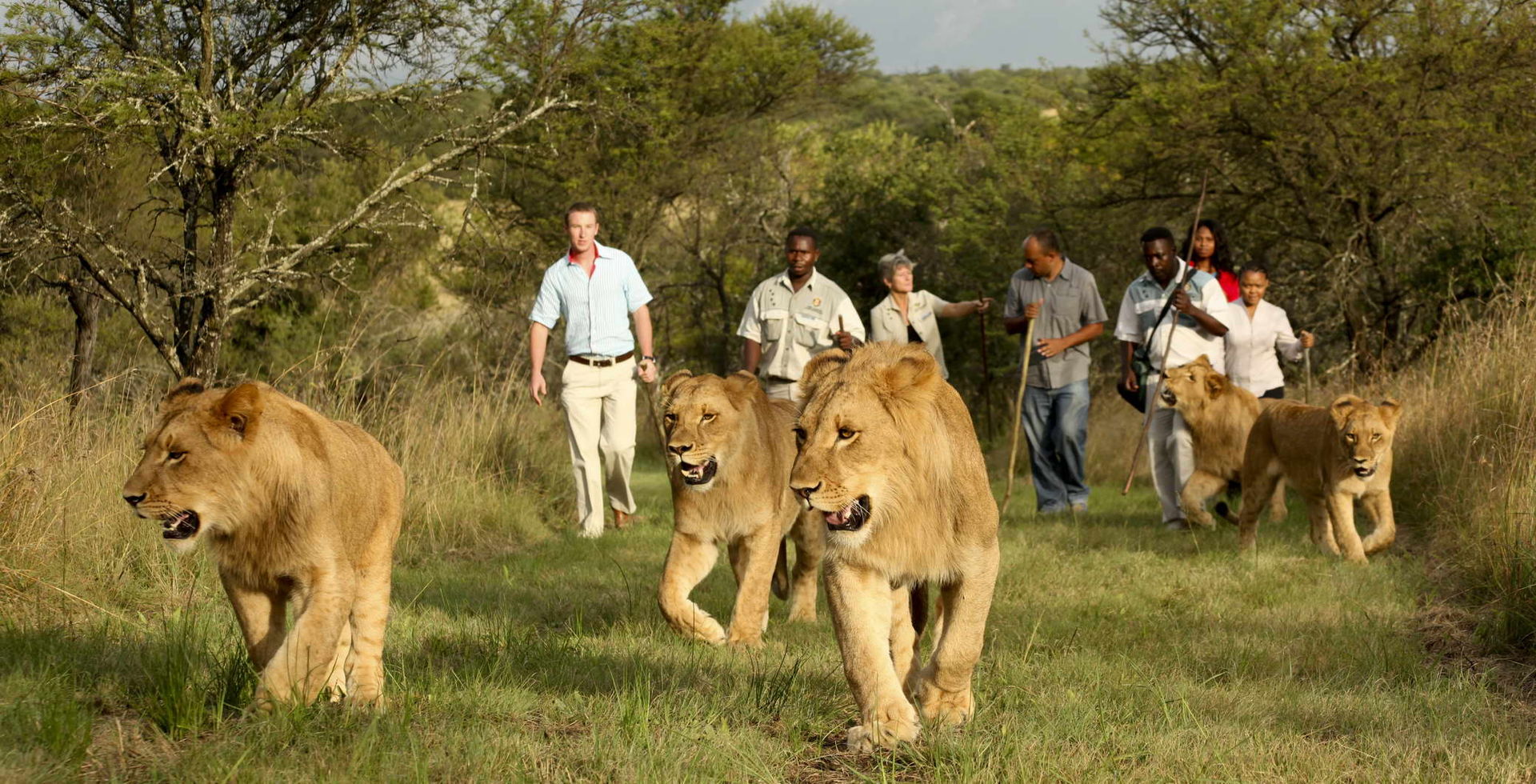 World Animal Protection on Twitter: World Animal Protection on Twitter: