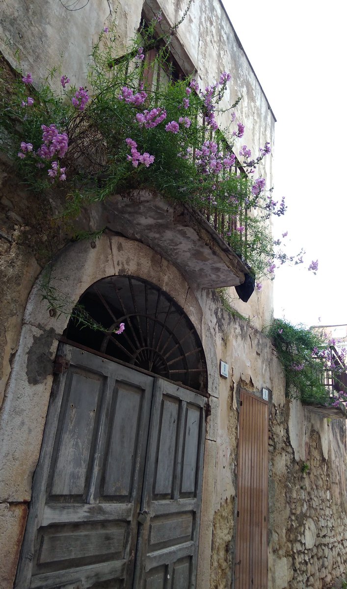 FannyStravato's tweet image. Non c'è balcone più bello in tutta la città.