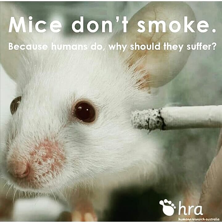 More than 100M rats and mice are killed each year in laboratories. They are used and abused for everything from cosmetic testing to biomedical research. 
#choosecrueltyfree #suportcrueltyfreeresearch
#choosevegan
#endanimalcruelty  
#endvivisection 
#worldweekforanimalsinlabs