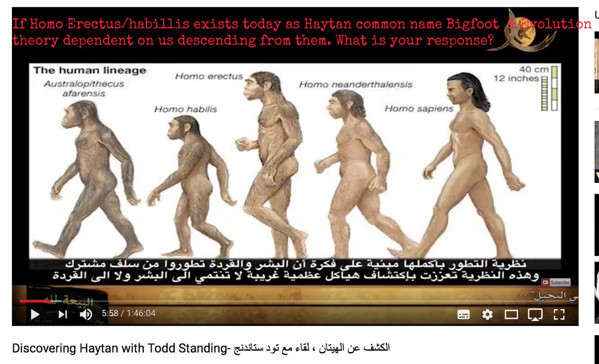 Jamespollard313's tweet photo. #Shattering #chains #evolution #Theory #Darwin #false #doctrine #sentient #being #bigfoot #sasquatch #Yeti #Science #homoerectus #rediscovered #Wilderness #expert #Alive #SPIRITUAL #Karma 
@AmJournalPrimat @IntJPrimatology @primatology @RealMaxSlade 
https://t.co/5Svh6KqLW2 https://t.co/Jgfb1EWOfS