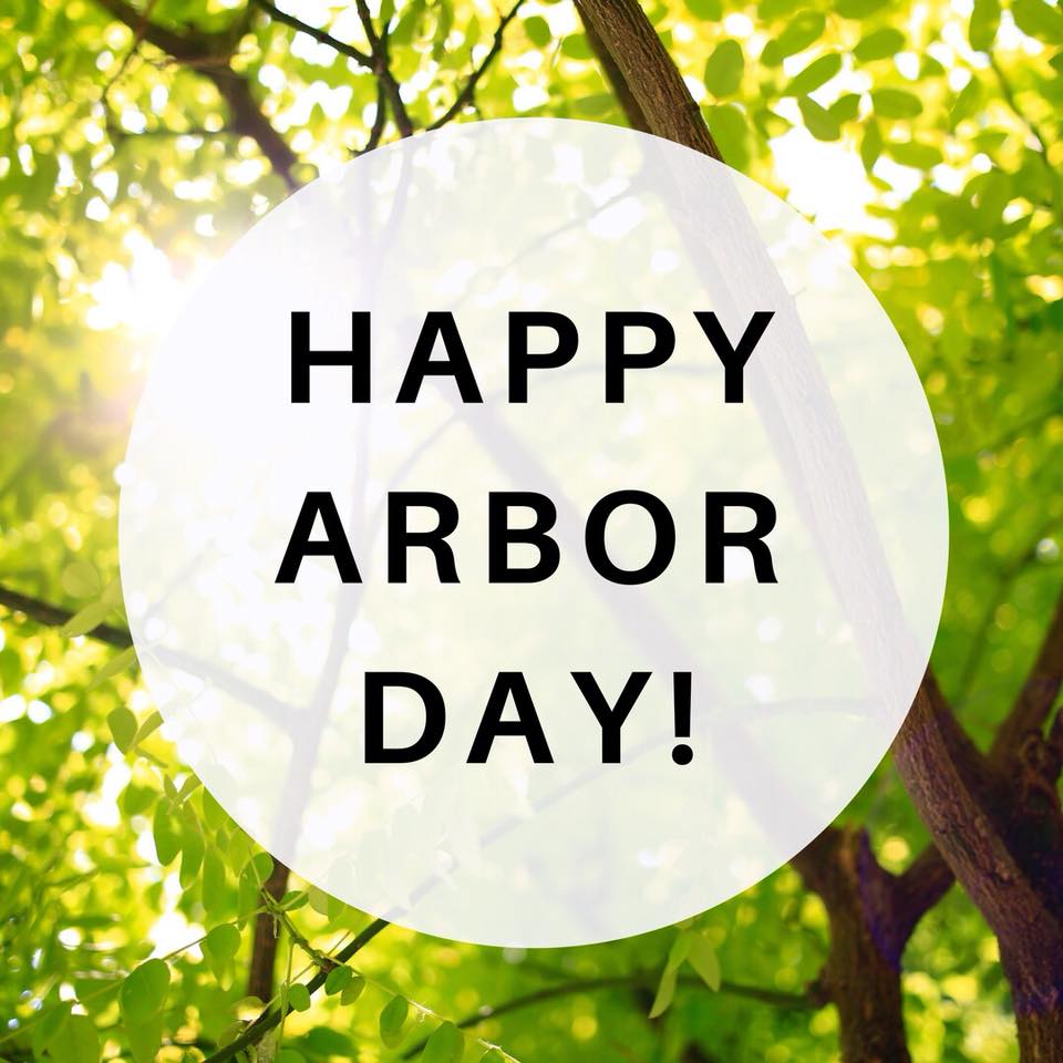 Seabreeze Management (seabreezemgmt) Twitter