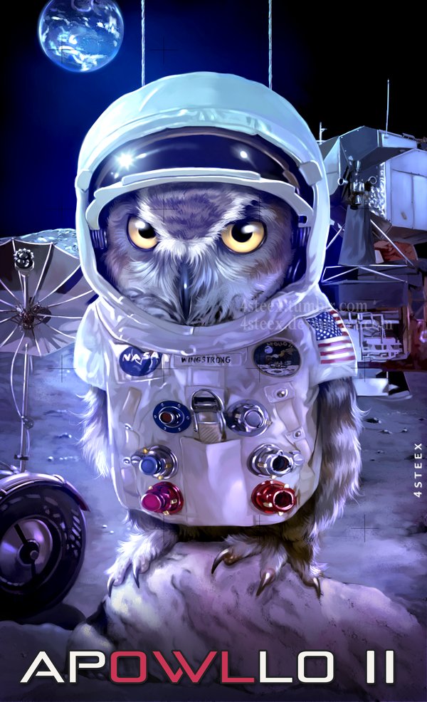 #moonlanding: APOWLLO11
"That's one small step for owl, one giant leap for avian kind." 
#owlvengers #4steex #animals #apollo #apollo11 #cute #digitalpainting #funny #history #moon #owls #tshirt #tshirtdesign #phonecase #owldrawing #owlillustration